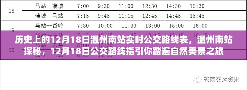 溫州南站公交路線指引，探秘歷史與自然的旅程，12月18日實時指南