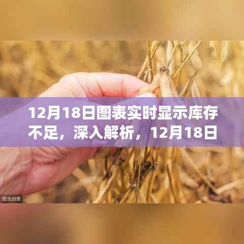12月18日圖表實時顯示庫存不足的背后，功能優(yōu)勢與挑戰(zhàn)解析