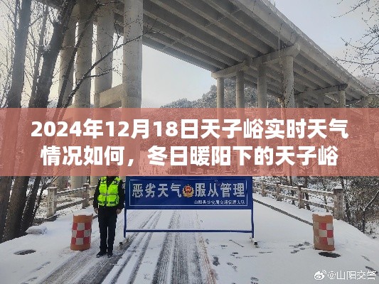 冬日暖陽下的天子峪，實(shí)時天氣與奇遇記