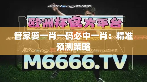 管家婆一肖一碼必中一肖：精準預(yù)測策略