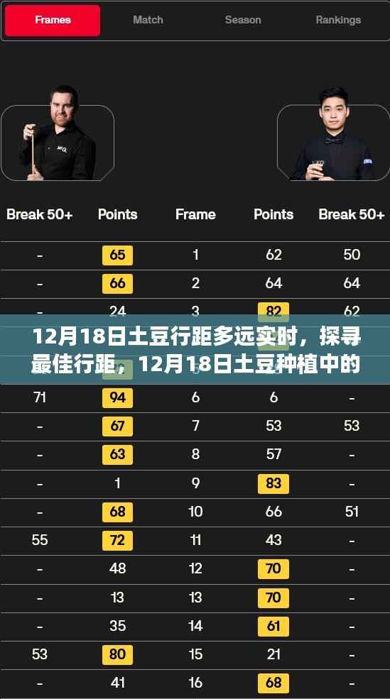 12月18日土豆種植最佳行距實踐觀點與解析