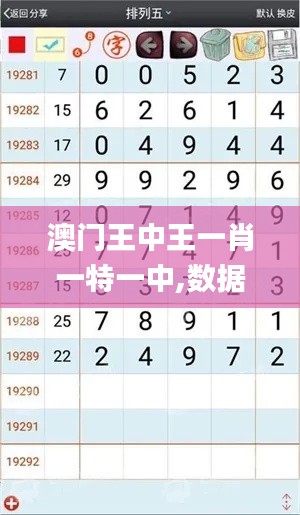 澳門王中王一肖一特一中,數(shù)據(jù)分析說明_suite1.199