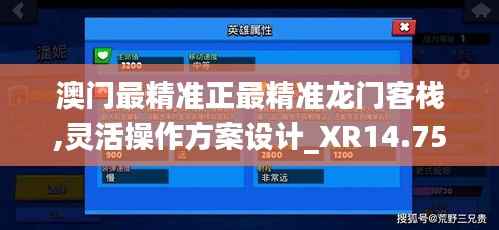 澳門最精準正最精準龍門客棧,靈活操作方案設計_XR14.751