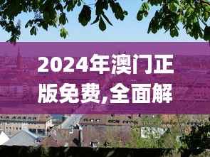 2024年澳門正版免費,全面解析與深度體驗_桌面版10.229