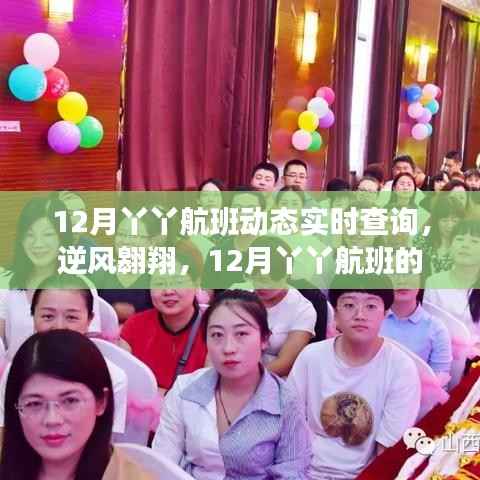 12月丫丫航班，逆風翱翔的自信與成長之旅實時動態(tài)查詢