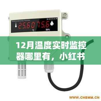 尋找冬季最佳溫度實(shí)時(shí)監(jiān)控器，小紅書推薦，溫暖整個(gè)冬季的必備神器！