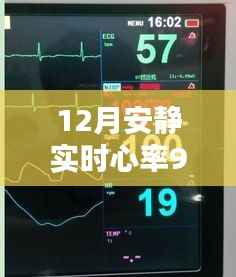 心跳與小巷的邂逅，隱藏于喧囂中的特色小店，實時心率下的寧靜時光