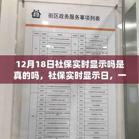探秘社保實(shí)時(shí)顯示日，溫馨有趣的社保之旅