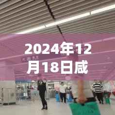 咸陽西高速，實時路況查詢與溫情相伴的奇遇之旅