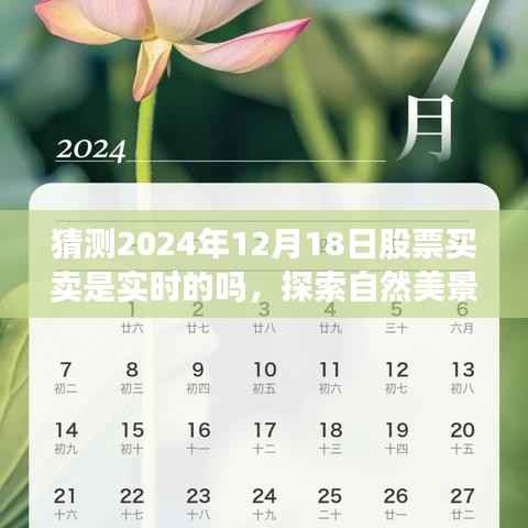 探索自然美景與股票交易預(yù)測(cè)，未來(lái)交易實(shí)時(shí)性與內(nèi)心寧?kù)o的探尋