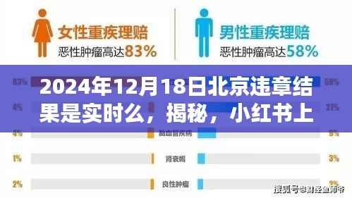 北京違章結(jié)果實(shí)時(shí)查詢指南，揭秘小紅書(shū)上的查詢真相