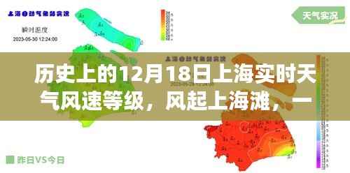 風(fēng)起上海灘，12月18日上海實(shí)時(shí)天氣與溫馨日常故事回顧