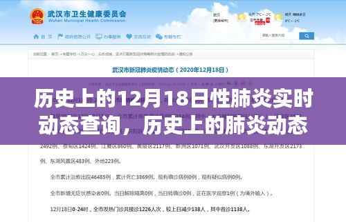 揭秘歷史上的肺炎動(dòng)態(tài)，十二月十八日疫情實(shí)時(shí)變遷與查詢