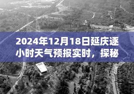 探秘延慶小巷深處的天氣秘境，逐小時(shí)天氣預(yù)報(bào)下的獨(dú)特風(fēng)味小店（實(shí)時(shí)更新）