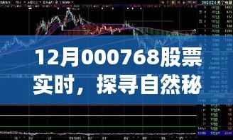 探尋自然秘境，揭秘股票背后的寧?kù)o之旅——聚焦股票實(shí)時(shí)動(dòng)態(tài)分析 12月000768股票實(shí)時(shí)行情解讀