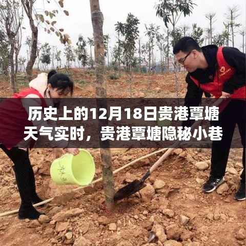 貴港覃塘，歷史天氣與小巷美食的雙重魅力——12月18日實(shí)時(shí)天氣探索