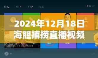 小紅書教你輕松獲取高清海膽捕撈直播視頻，全攻略下載指南