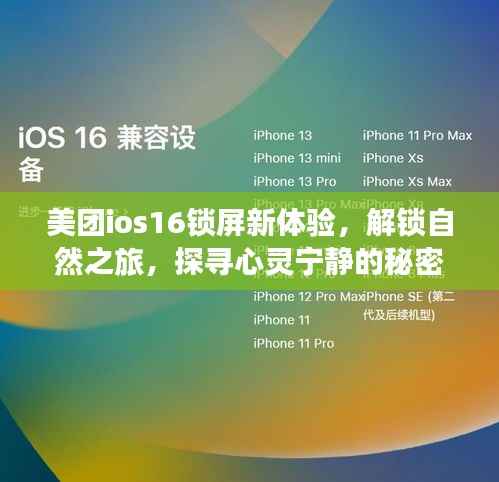 美團(tuán)iOS 16鎖屏新體驗(yàn)，解鎖自然之旅，探索心靈寧?kù)o之旅