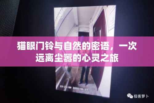 貓眼門(mén)鈴與自然的密語(yǔ)，心靈遠(yuǎn)離塵囂之旅