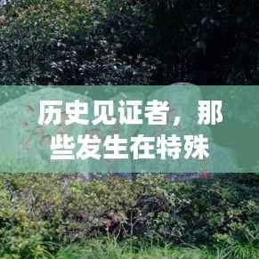 歷史見(jiàn)證者，特殊檢測(cè)站的瞬間記憶——小紅書獨(dú)家報(bào)道，12月18日瞬間回顧