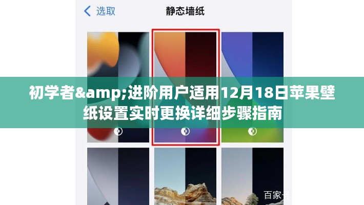 初學(xué)者與進(jìn)階用戶必備的蘋果壁紙設(shè)置實(shí)時更換指南（12月18日版）