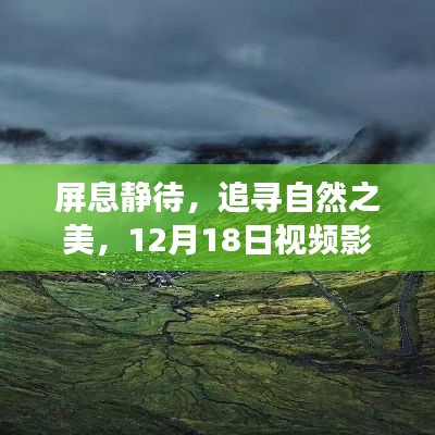 屏息追尋自然之美，視頻影像實(shí)時(shí)傳輸之旅開(kāi)啟