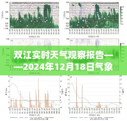 雙江實時天氣觀察報告，氣象分析與觀察結(jié)果（XXXX年XX月XX日）