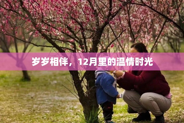 12月溫情時(shí)光，歲歲相伴的陪伴季