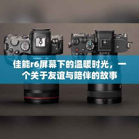 佳能R6屏幕下的溫馨時(shí)光，友誼與陪伴的感人故事