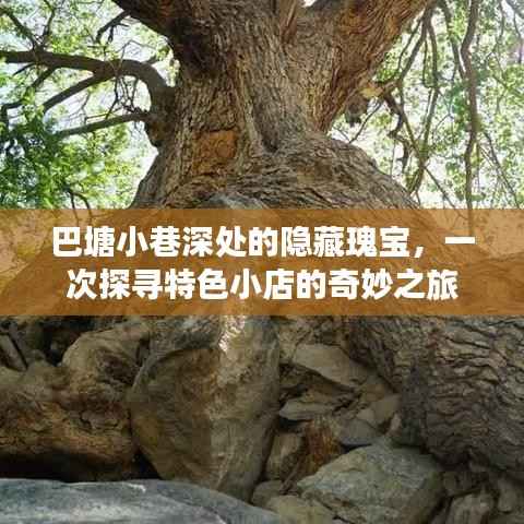 巴塘小巷深處的隱藏瑰寶，探尋特色小店的奇妙之旅
