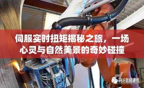 伺服實時扭矩之旅，心靈與自然的奇妙交融之旅