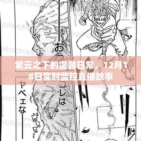 紫云之下的溫馨日常，12月18日直播故事實時回顧