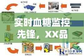 XX品牌血糖監(jiān)測(cè)系統(tǒng)，十二月實(shí)時(shí)血糖監(jiān)控應(yīng)用評(píng)測(cè)