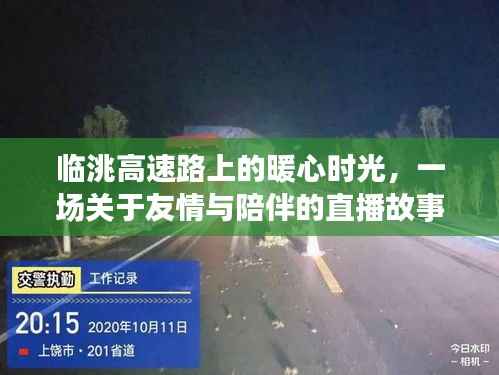 臨洮高速路上的暖心直播，友情與陪伴的旅程