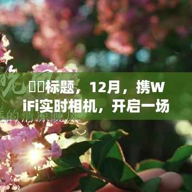 12月，攜WiFi實時相機，開啟心靈與自然的美妙之旅
