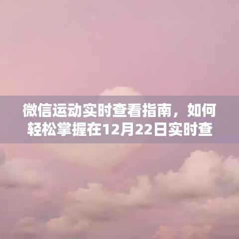 微信運動實時查看攻略，輕松掌握最新數(shù)據(jù)查看技能