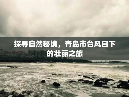 青島臺(tái)風(fēng)日下的自然秘境探尋之旅