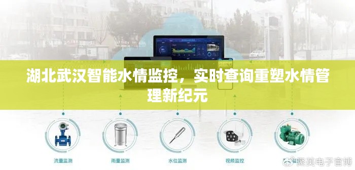 湖北武漢智能水情監(jiān)控重塑水情管理新紀元，實時查詢系統(tǒng)助力水資源管理升級