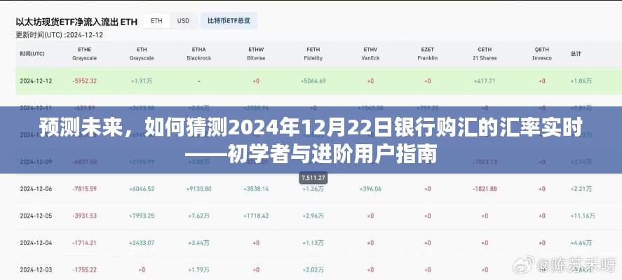 初學(xué)者與進(jìn)階用戶(hù)指南，預(yù)測(cè)與猜測(cè)銀行購(gòu)匯匯率實(shí)時(shí)動(dòng)態(tài)——2024年銀行購(gòu)匯匯率預(yù)測(cè)實(shí)戰(zhàn)指南