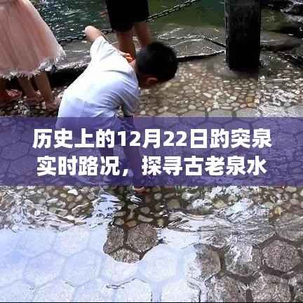 歷史上的趵突泉實時路況，古老泉水的歷史變遷與今日風采