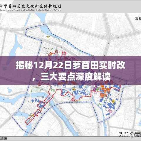 揭秘，蘿苜田實(shí)時(shí)改三大要點(diǎn)深度解讀（12月22日版）