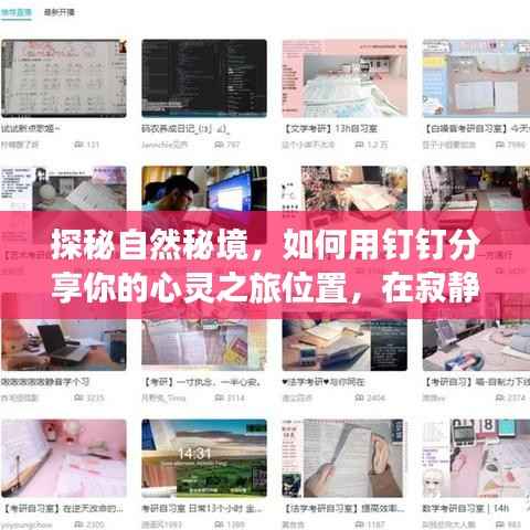 探秘自然秘境的心靈之旅，釘釘分享，寂靜中的平和之旅（2024年12月22日）