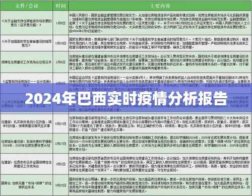 2024年巴西實(shí)時(shí)疫情動(dòng)態(tài)分析報(bào)告