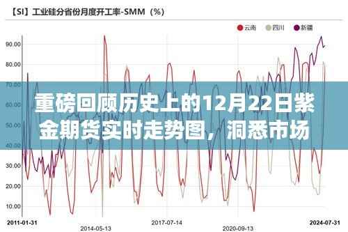 揭秘歷史12月22日紫金期貨走勢圖，洞悉市場風(fēng)云，洞悉未來趨勢！