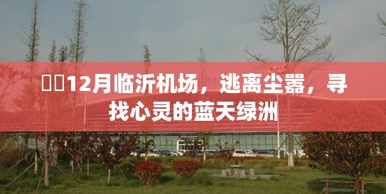 臨沂機(jī)場(chǎng)，逃離喧囂，心靈藍(lán)天綠洲的探尋之旅