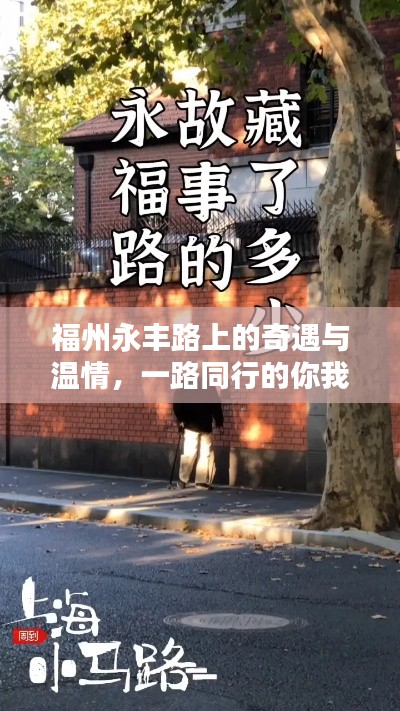 福州永豐路上的奇遇與溫情，一路同行的溫暖故事