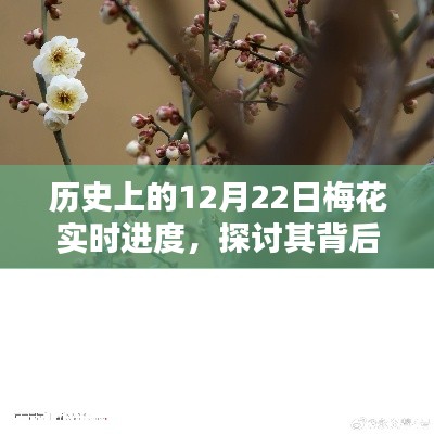 12月22日梅花文化意義與個人觀點探討，歷史實時進度下的深度解析