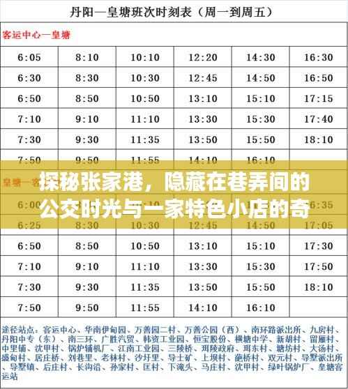 探秘張家港，公交時光與巷弄特色小店的奇妙之旅