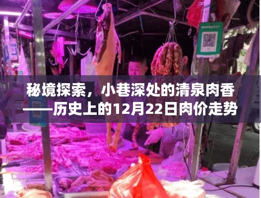 秘境探索，揭秘歷史上的肉價(jià)走勢(shì)——小巷深處的清泉肉香，12月22日肉價(jià)走勢(shì)大揭秘