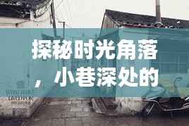探秘時(shí)光角落，2024年12月22日小巷深處的特色小店奇妙一覽